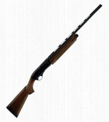 Winchester Sx3 Field Semi-auto Shotgun - 12 Gauge