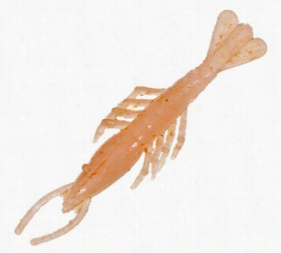 Z-man Scented Shrimpz - Natural - 3'