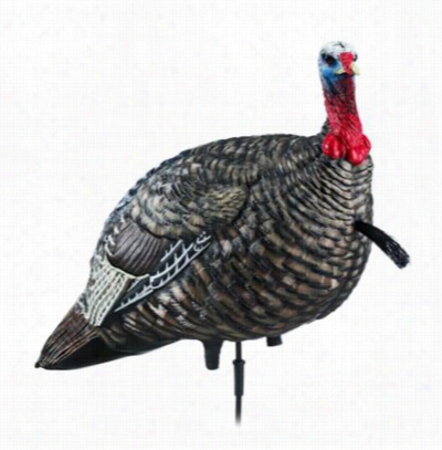 Avianx Lcd (lifelike Collapsible Decoy) Jake Turkey Decoy