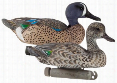 Dakota  Decoy X-treme Floating Bluewing Teal Edcoys