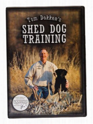 Dokken's Shed Dog Spill  Dog Training Video - Dvd