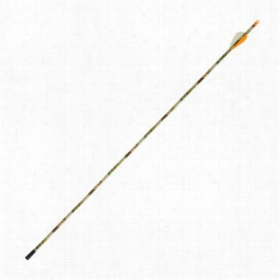 Double Take Archery Arro Wradio Antenna