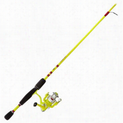 Doughbaait Special Rod & Ree  Spinning Combo - 5' Ul