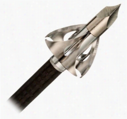 Flynig Arrow Toxic Broadhead - Silver