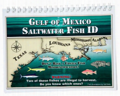 Gulf  Salt Fish Id