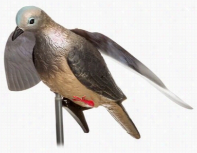 Hunter's Edge Winged Dove Decoy