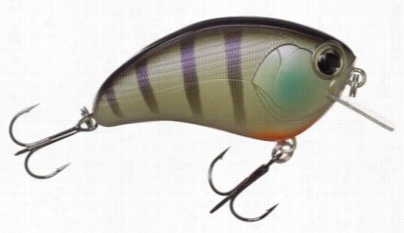 Imz Square Bill Crankbait - Blueg Ill