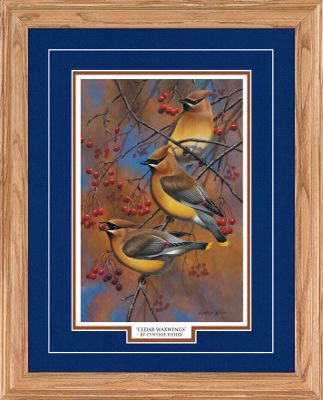 North Promotions Framed Art - Cedar Waxwings By Cynthie Fisher