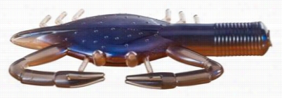 Offshore Angler Crab -  Natural Crab