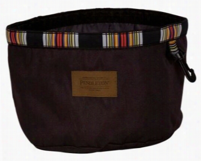 Pendleton National Park Collection Pet Travel Water Bowl - Acadia