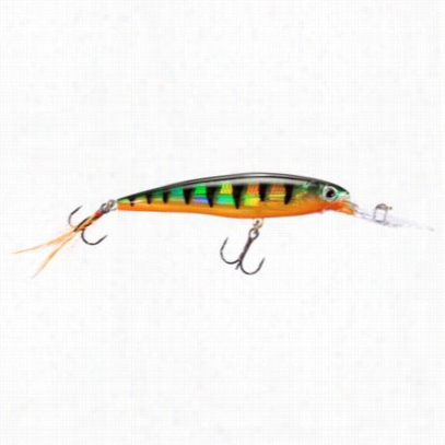 Rapala X-rap Deep 10 Lure - Xrd10 - 4' - Perch