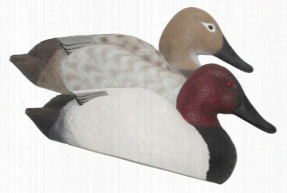 Redhead Reality Series  Canvasback Decoy S - 3 Drakes, 3 Hens