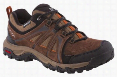 Sallmon Vasion Cs Wp Hiking Shoes Conducive To Men - Mysterious Brown Leather/burro - 10m