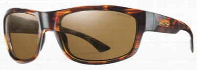 Smith Optics Dover Polarized Ssunglasses - Havana/chromapop Brown