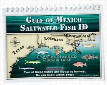 Gulf Salt Fish ID