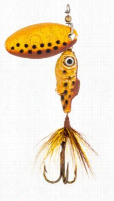 Worden's Rooster Tail Minnow - 2-1/4' - Brown Trout