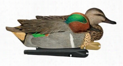 Avian-x Topflightt Green Wing Teal Duck Decoys
