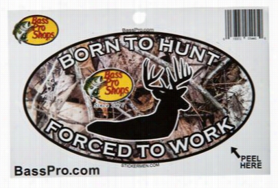 Born To Chase Oval Decal