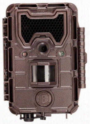 Bushnell Trophy Cam Hd Aggressor No-glow Game Camera - Brown