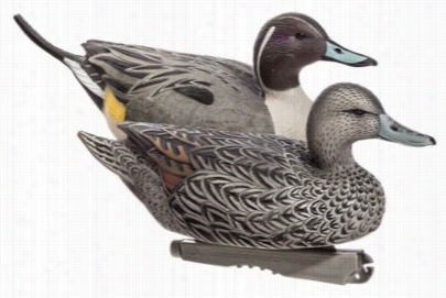 Greenhead Gear Life-size Pintail Duck Decoys