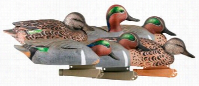 Greenhead Gear Pro-grade Green-winged Teal Duck Decoys