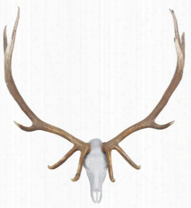 Mountain Mike's Skull Master Elk Kit