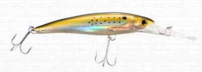 Offshore Angler Deep Diver Hardbaits - Model Dd55 -  Bunker