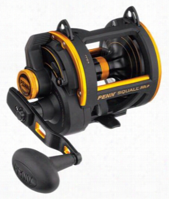 Penn Squall Lever Drag Reel - Sql30ld