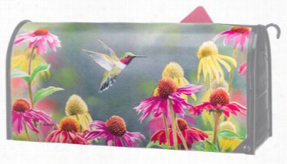 Studio M Mailwraps Magneticm Ailbox Cover - Humminbird Haven By S.d. Bourdet