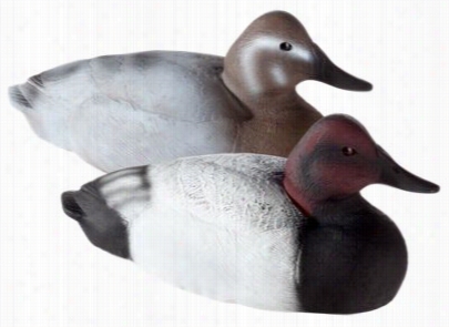 Tanglefree Migration Ediition Canvasback Duck Decoys