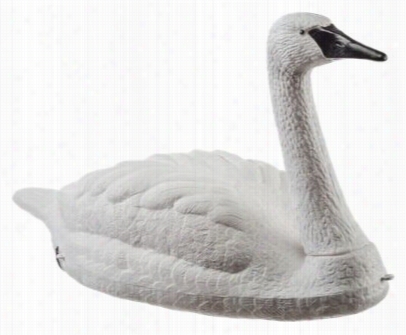 Tanglefree Tu Ndra Swan Decoys  - Black/white - 34'