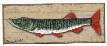 Muskie Wall Sign