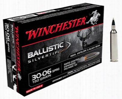 Winchester Sjpreme Ballistic Silvertip Ammo - .223 Remington - 55 Grain