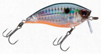 Yo-uzri 3db Wake Bait - Prism Tennessee Shad