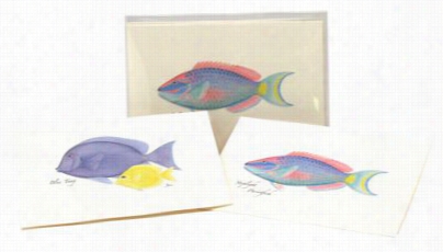 Assorted Reef Fish Notecards With Envelopes Boxed Set