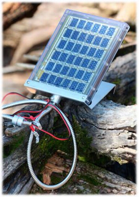 Boss Buck 12v Solar Panel For Feeders