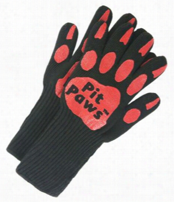 Cha Rcoal Companion Pit Pawws Bbq Gloves