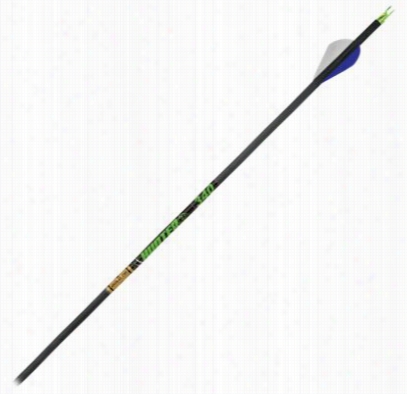 Gold Tip Xt Hunter Carbon Hhunting Arrows - Size 300