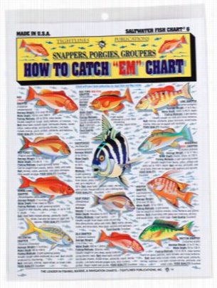 How To Catch Em Chart - Saltwater Fiish Chart #6