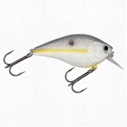 Lucky Craft Square Bill Crwnkbait - 2-3/8'  - Sexy Chartreuse Shad