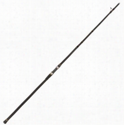 Penn Carnage Ii Surf Casting Rod - Carsfii2050c11