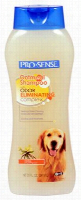 Pro Sense Oatmeal Shampoo In The Place Of Dogs - 20 Oz.