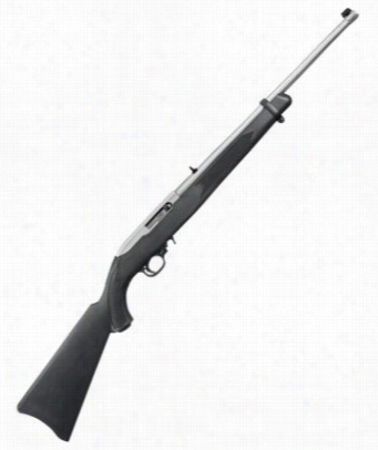 Ruger 10/22 Carbine Semi-aut Rimfire Rifle ␓ Stainlesa Steel