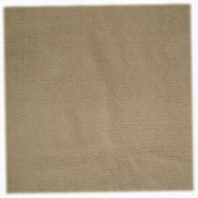 Value Carpet Premium Marine Carpet - Beige