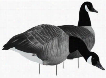 White Rock Deoys Blackout 3d Heded  Silhouette Canada Goose Decoy