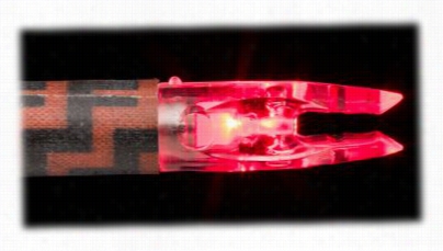 Ams Bowfishing H2glo Lighted Nocks - Red