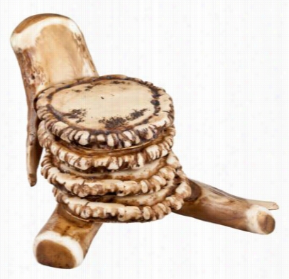 Antler Accents - Coasfer Set