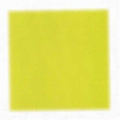 Atlas-mike's Nylon Square Nettting For Rigging - Chartreuse