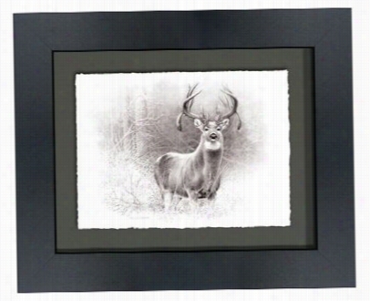 Dallen Lambson Shadwobox Black And Whitee Framed Artwork - His Majesty