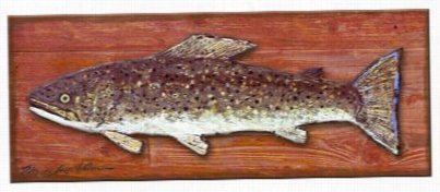 Dolly Varden Trout Wall Sign